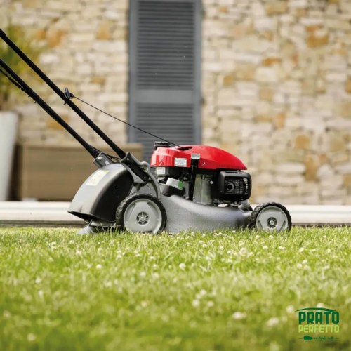 Tosaerba Honda IZY HRG 466 - Vendita e assistenza Prato perfetto